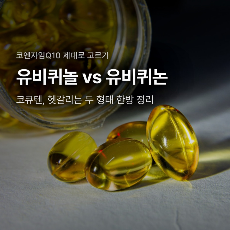 코엔자임Q10, 유비퀴놀과 유비퀴논 중 뭘 고를까?