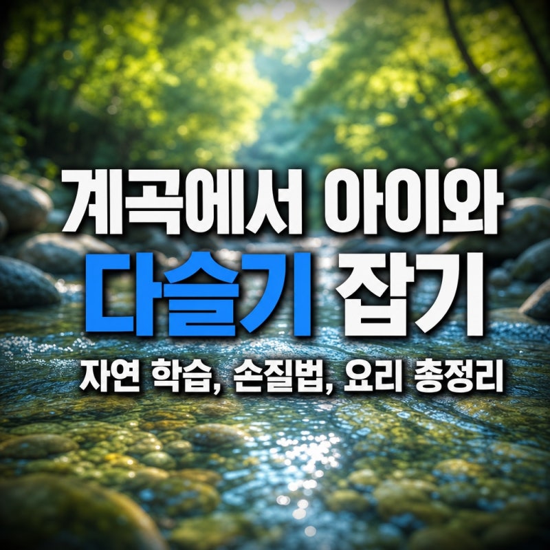 계곡 가면 꼭 하는 다슬기 잡기 놀이 ㅡ 자연 학습부터 손질법, 요리까지 총정리