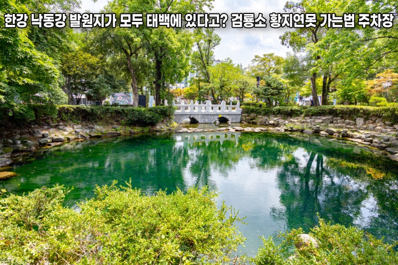 한강 낙동강 발원지가 모두 태백에 있다고? 검룡소 황지연못 가는법 주차장