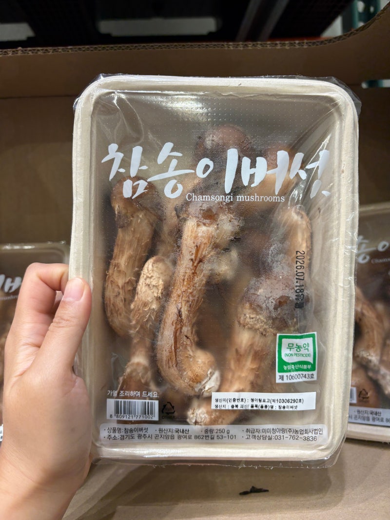 참송이버섯효능 총정리 요리법부터 보관법, 먹는법까지 한 눈에 알아보자