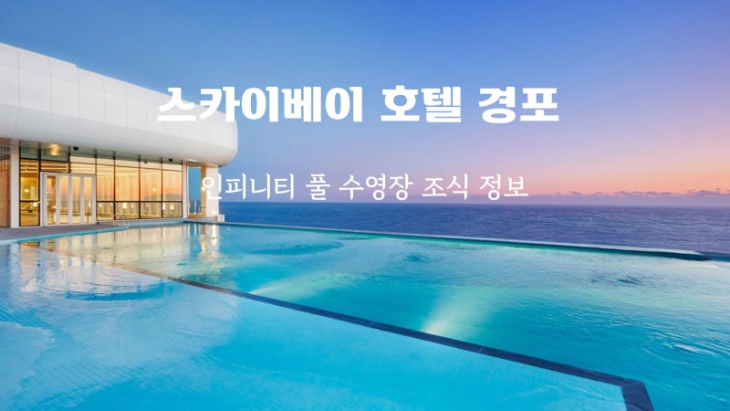 스카이베이호텔 경포 조식 수영장 인피니티풀 예약 팁