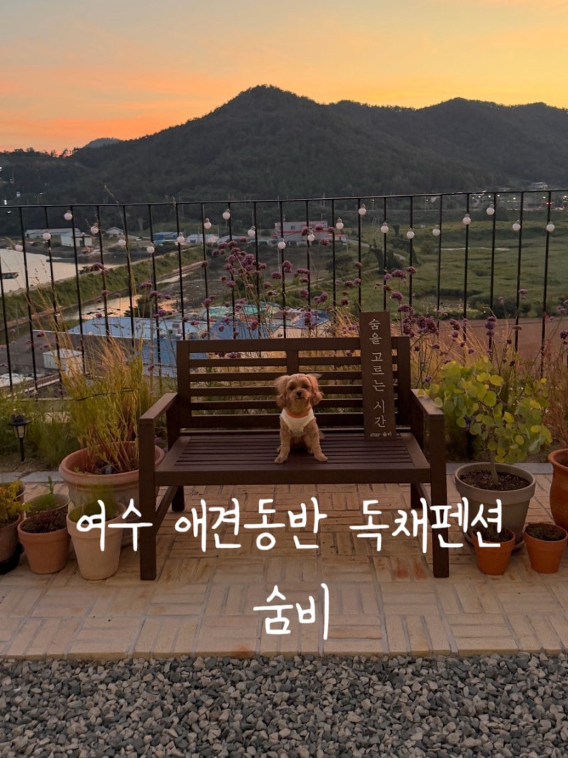 Yeosu Sumbie Pension / Yeosu Pet-Friendly Pension, Recommended Yeosu Jacuzzi Accommodation, Yeosu Private Pension Pet-Friendly