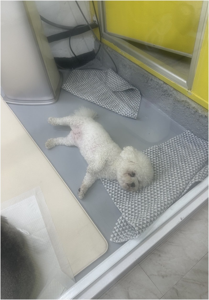 작은행복 사진 5