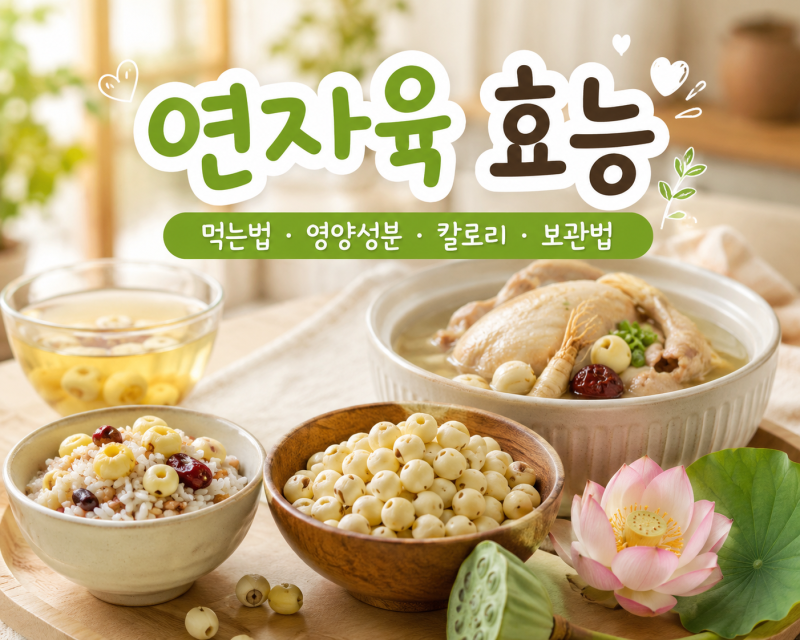 연자육 효능, 먹는법과 부작용! 영양성분·칼로리·보관법까지 총정리
