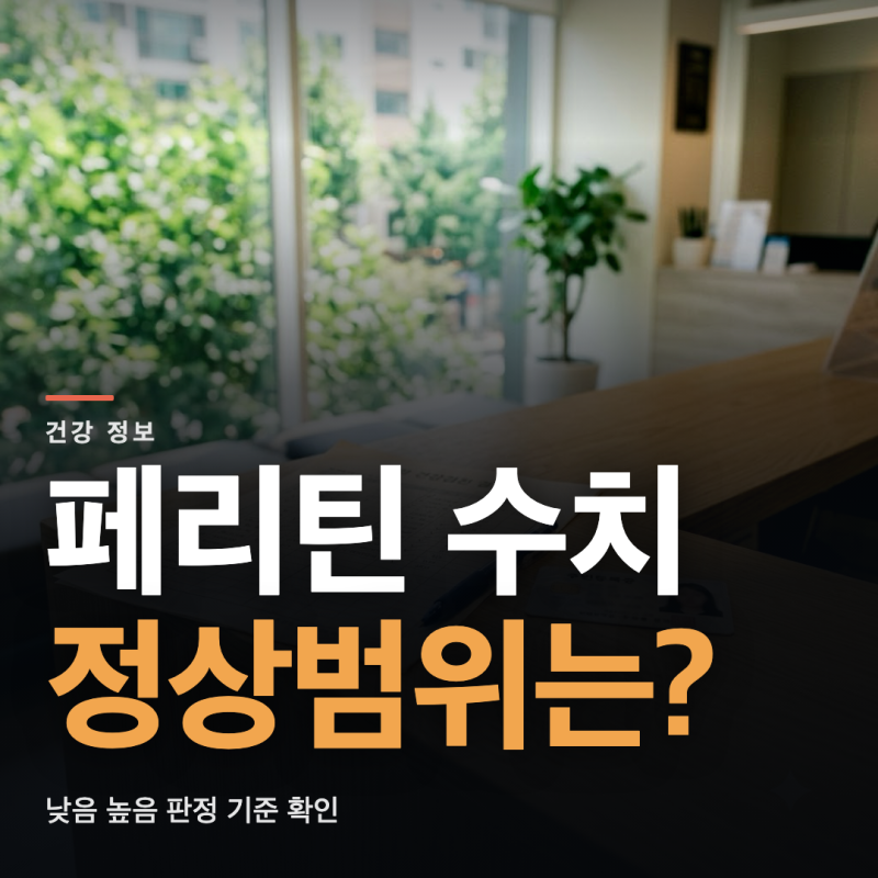 페리틴 수치 정상범위와 낮을 때 높을 때 의미