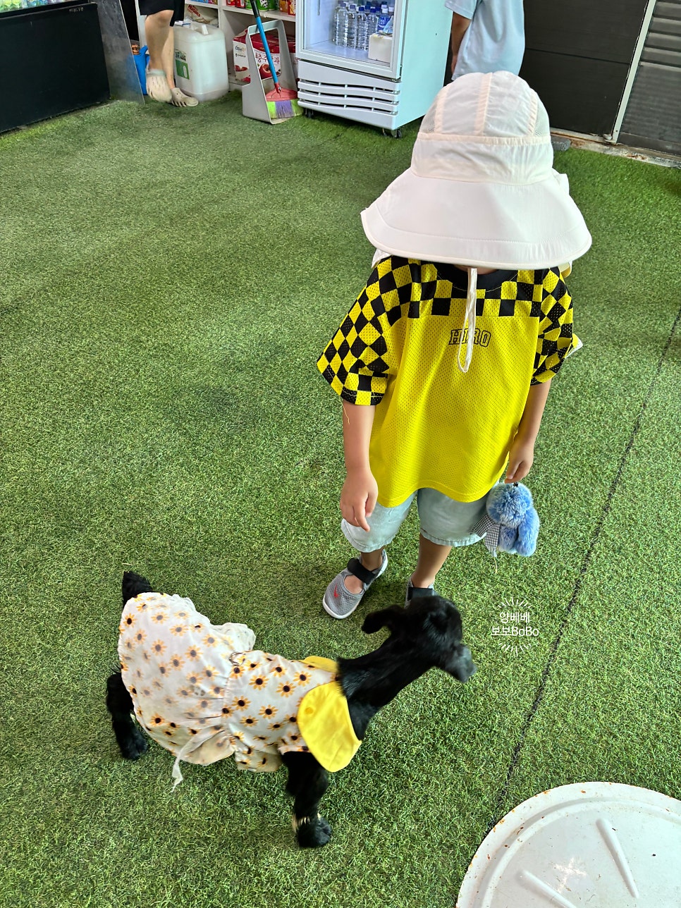 버드앤쥬 사진 5