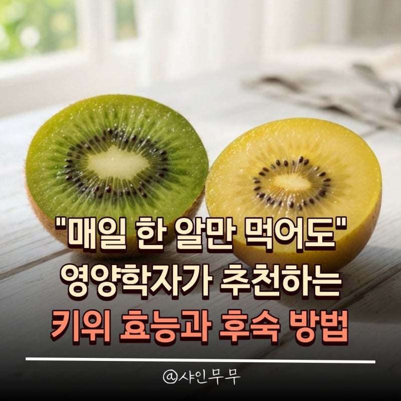 "매일 한 알만 먹어도" 영양학자가 추천하는 키위 효능과 후숙 방법