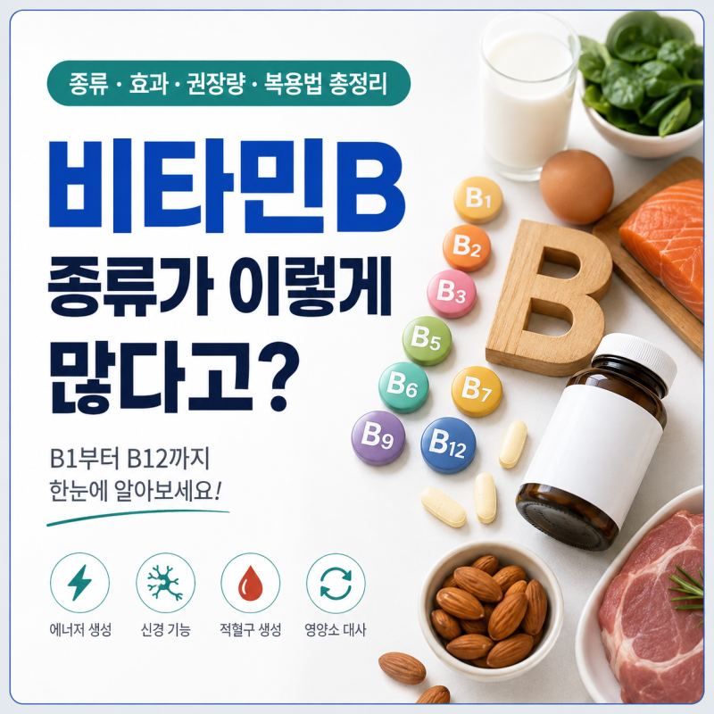 비타민B란? 종류·효과·권장량·복용법 총정리