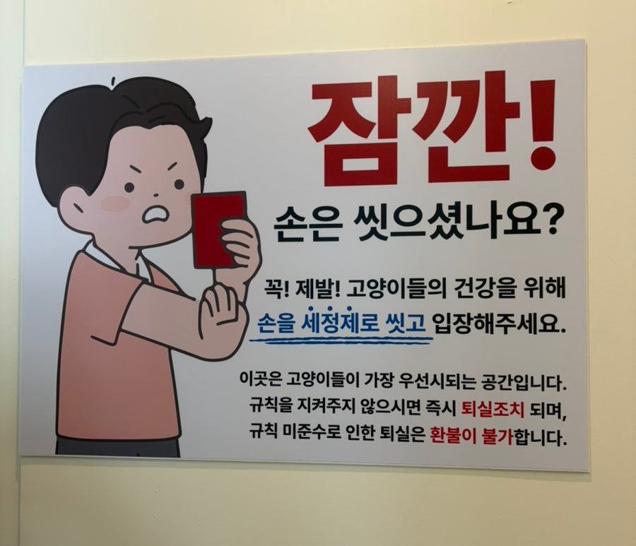 고양이네 사진 6