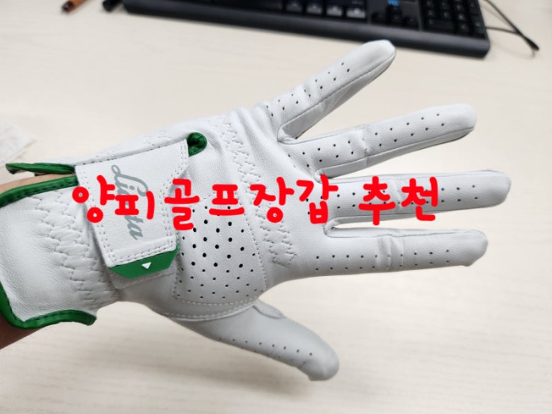 남자골프양피장갑추천(사이즈추천)