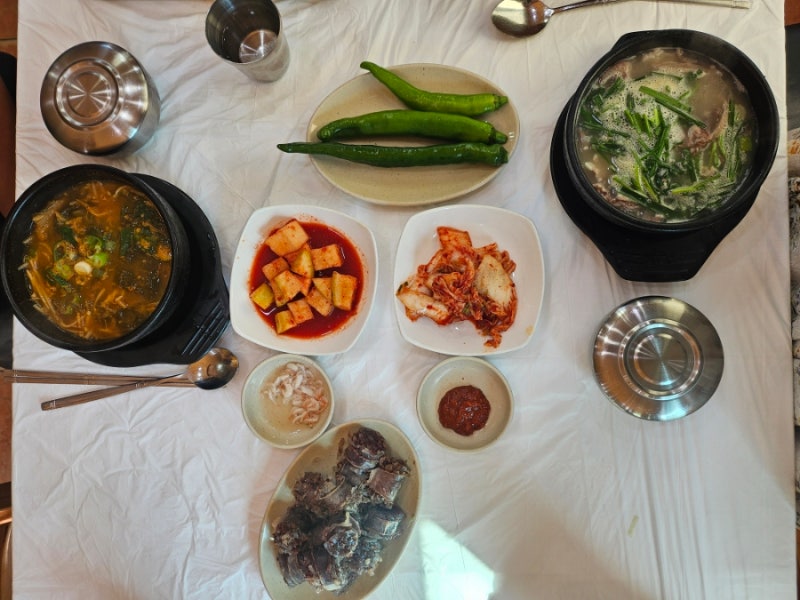 대천해수욕장한식맛집 신토리할매국밥 돼지국밥 순대국밥 맛있는 곳