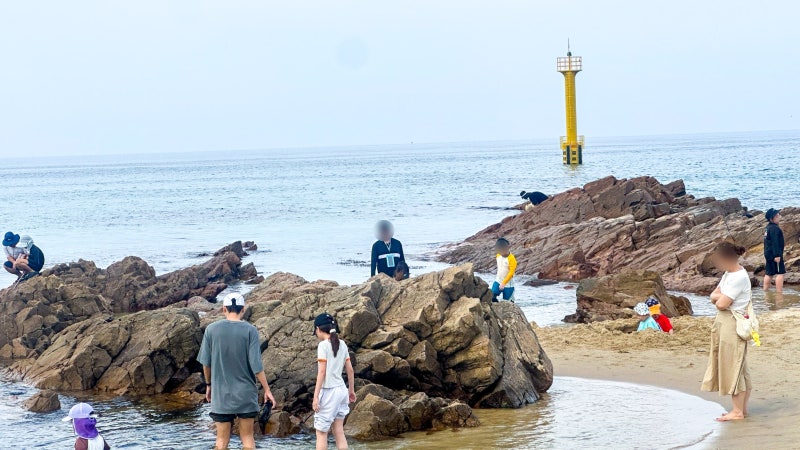 해돋이 명소 정동진 해수욕장 주차 모래시계공원 등 정보