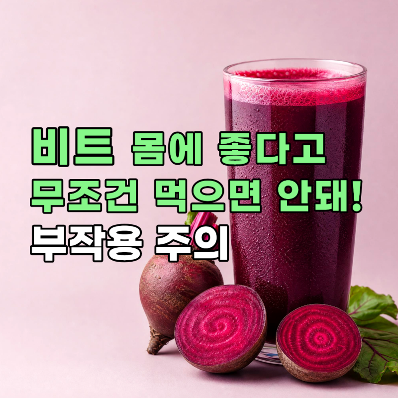 레드비트 효능과 부작용 알고 먹자