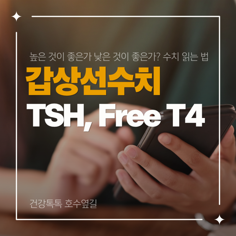 갑상선수치가 높나요, TSH와 Free T4 검사표 읽는 방법