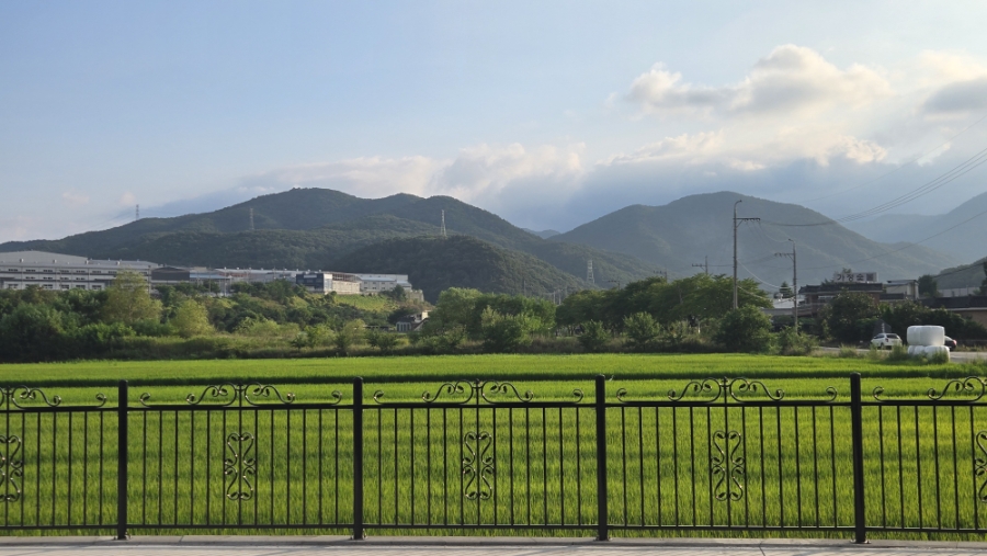 오쏘 사진 6