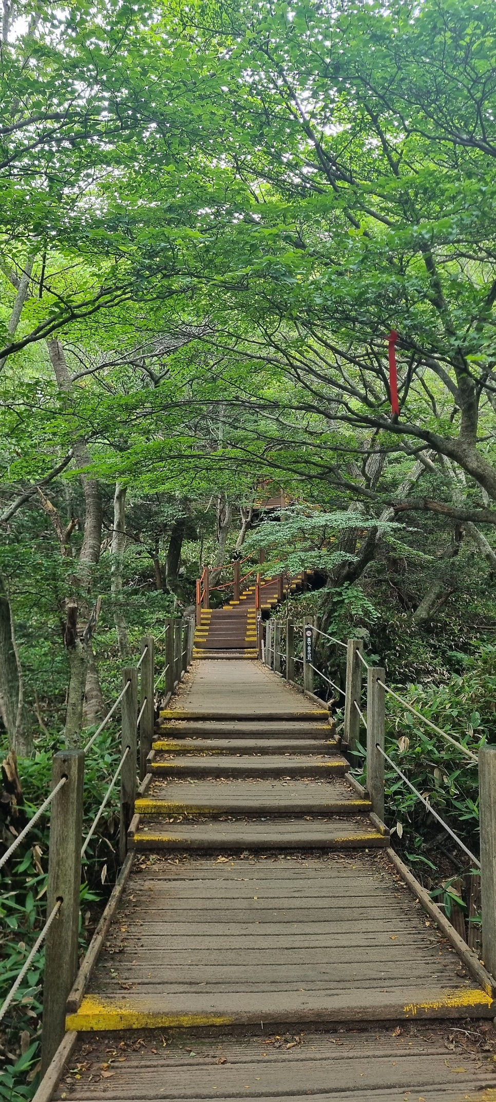 윗세오름 사진 5
