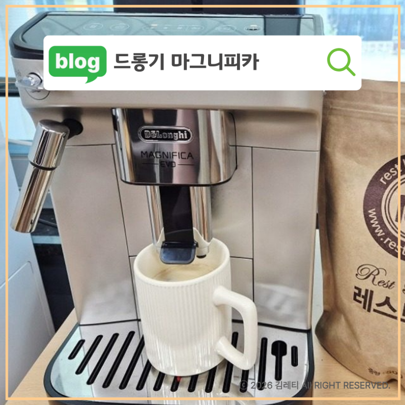 드롱기 마그니피카 에보 사무실 커피머신 6개월 사용후기 및 관리팁