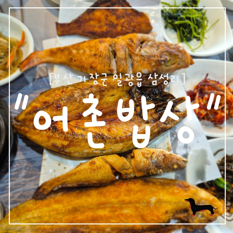 "부산 기장군" 부산 기장 생선구이 맛집 어촌밥상, 부산 현지인만 아는 밥집