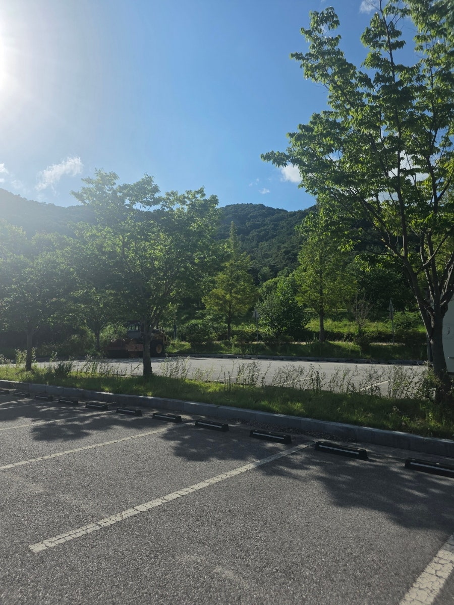 선운산 사진 4