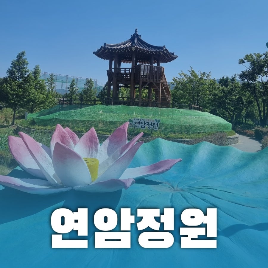 정원 사진 1