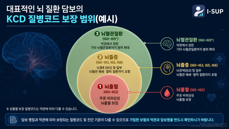 [실무 가이드] 뇌혈관·허혈성 심장질환 보장분석 실무 가이드