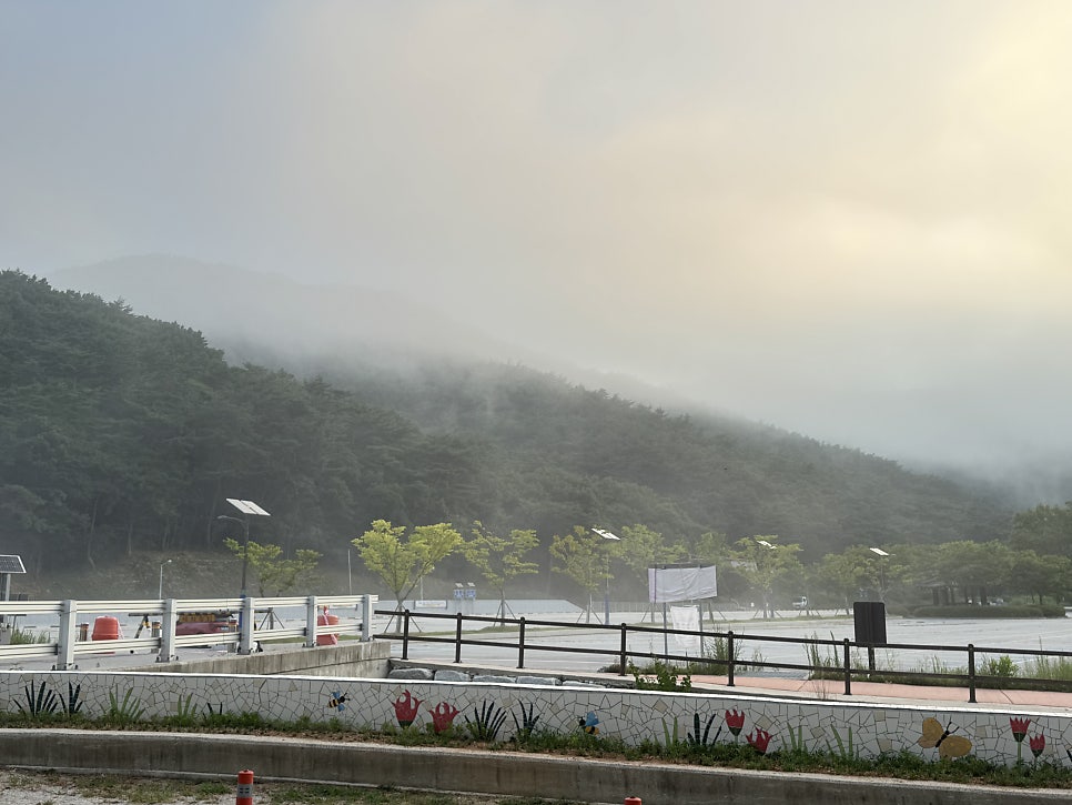 선운산도립공원 사진 3