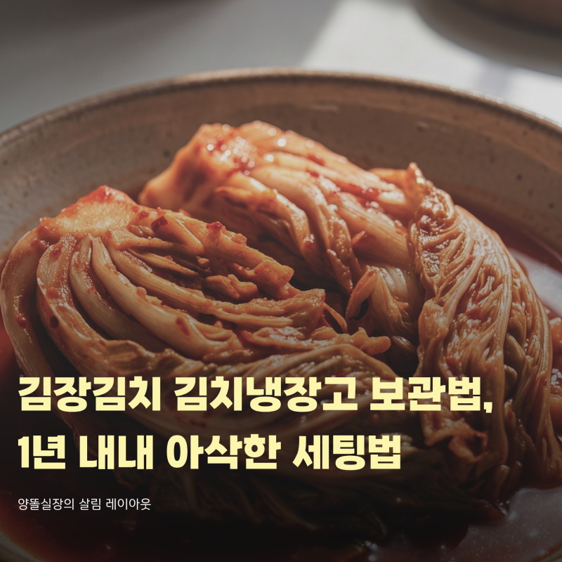 김장김치 김치냉장고 보관법, 1년 내내 아삭한 최적 온도와 용기 세팅