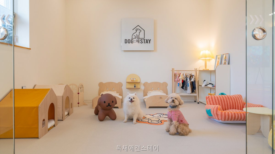 독채애견스테이 사진 2
