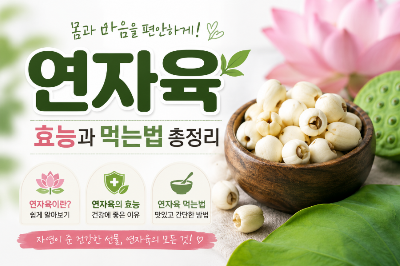 연꽃 씨앗 연자육 효능 먹는법, 부작용 주의점은?