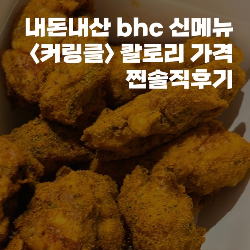 내돈내산 bhc 신메뉴 칼로리 가격 찐솔직후기
