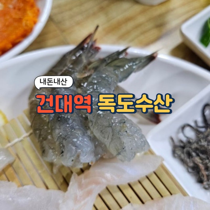 건대 자양동 회맛집 독도수산 생새우철 내돈내산(생새우, 모듬회 중, 물회 소, 매운탕 주문) |....