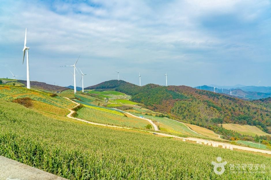 매봉산 사진 4