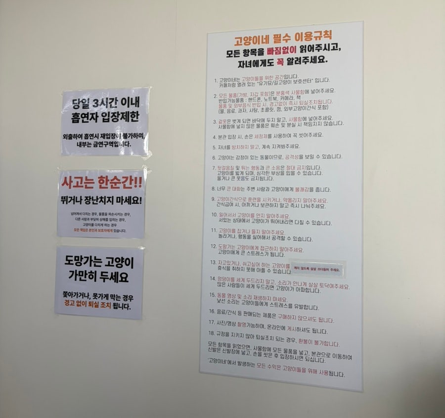 고양이네 사진 5
