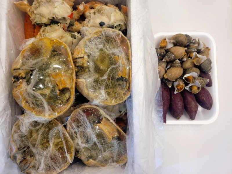 경주 여행의 완벽한 피날레 포항 구룡포시장 은정수산 대게 포장 성공적!내돈내산 솔직후기