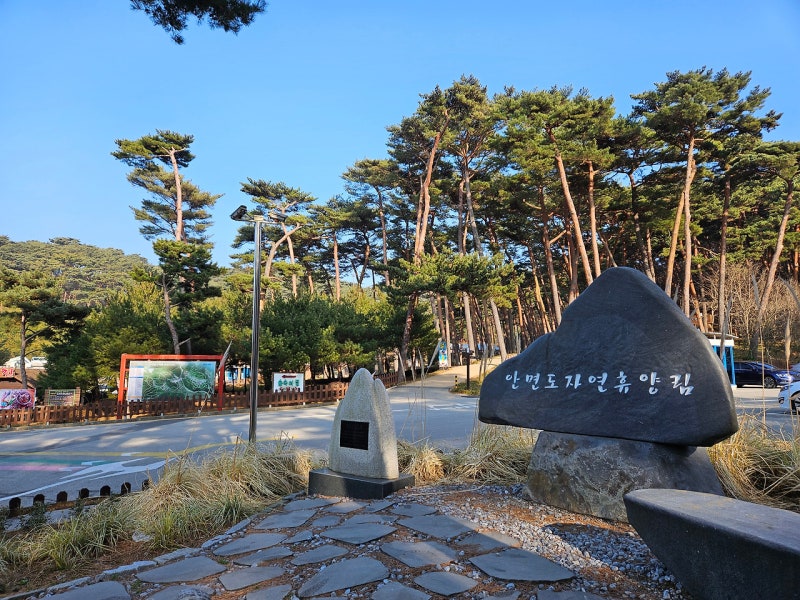 한국 최고의 휴양지 하나만 꼽는다면? — 안면도자연휴양림 ️