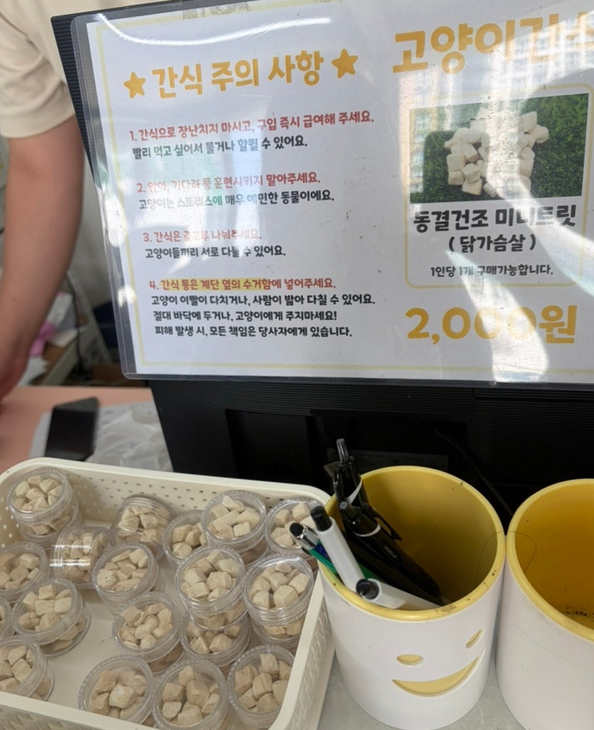 고양이네 사진 3