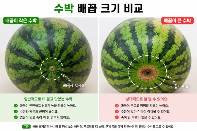 맛있는 수박 고르는 방법 8가지 달고 맛있는 수박 고르는 꿀팁