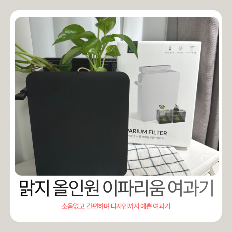 베타 키우기 좋은 걸이식 어항여과기, 맑지 올인원 리파리움 어항여과기 사용 후기