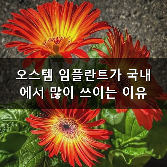 오스템 임플란트 특징과 종류 및 주의할 점