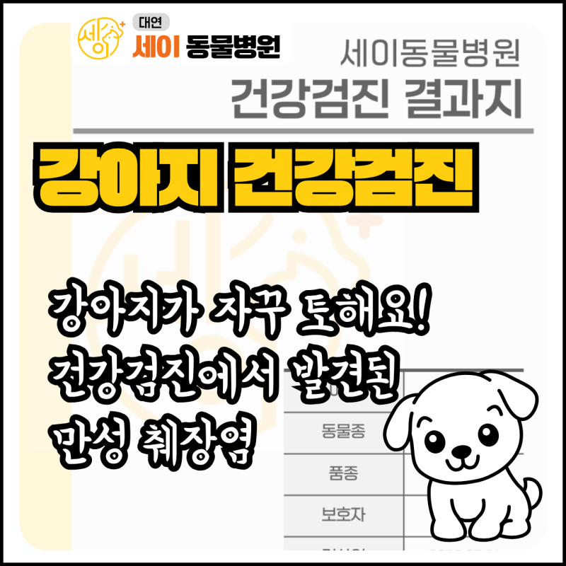 강아지 췌장염 증상과 관리방법｜스케일링 전 건강검진 사례 - 부산 대연동 세이동물병원