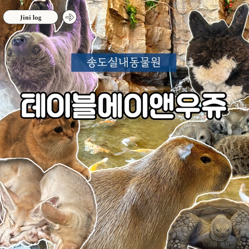 [인천 실내동물원] 테이블에이 앤 우쥬 | 송도가볼만한곳, 인천실내데이트