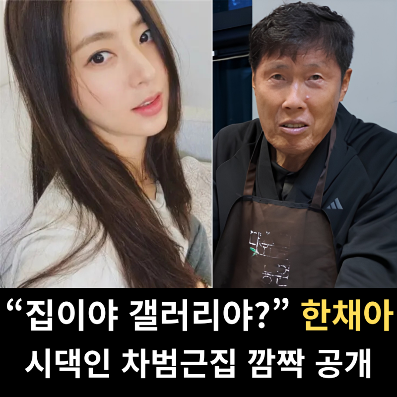 "이게 집이야 갤러리야?" 차범근 며느리 한채아가 공개한 그 시댁