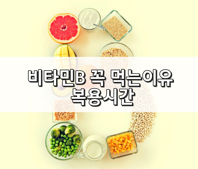 비타민B를 꼭 먹는 이유 4가지(복용시간, 피로회복 꿀팁)