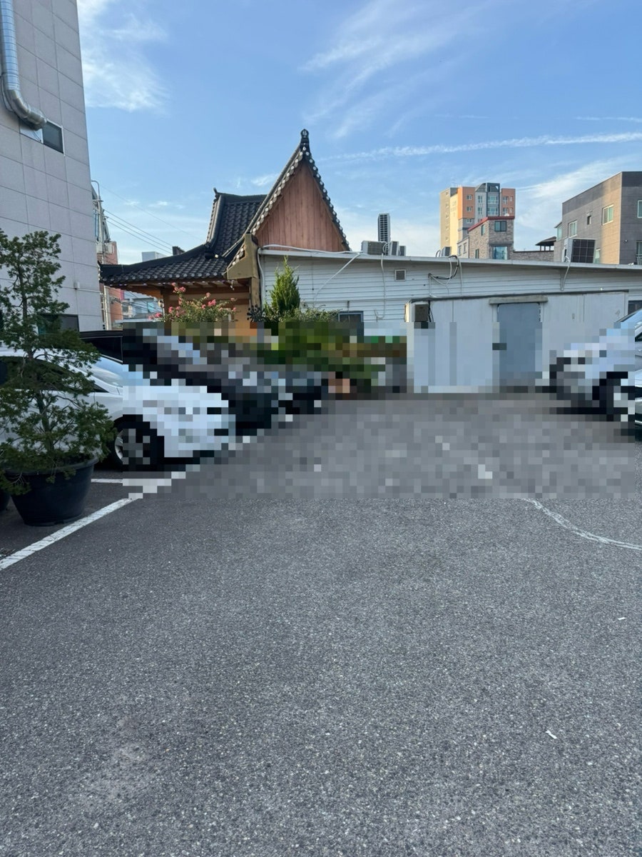 노란꽃돼지 사진 4