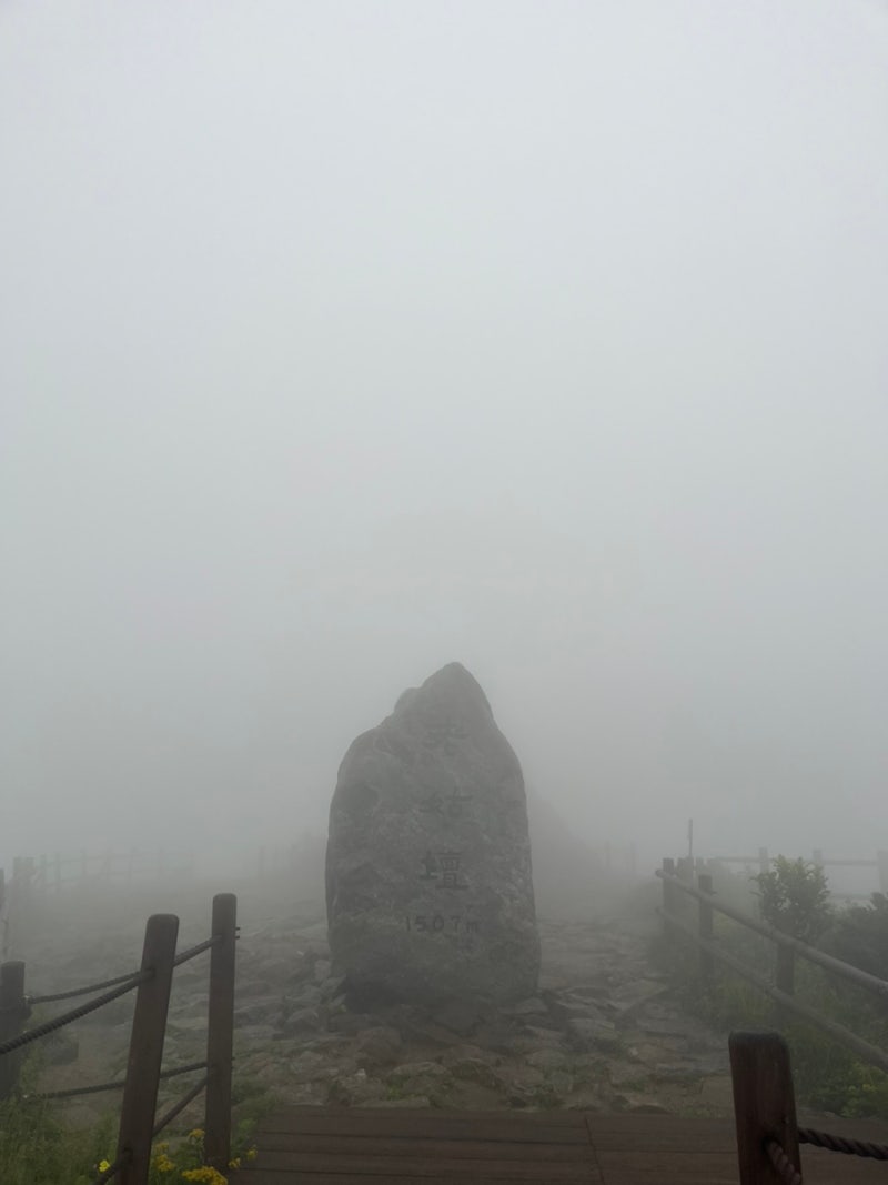 [구례] 지리산 노고단 탐방로 예약 방법 및 후기⛰️