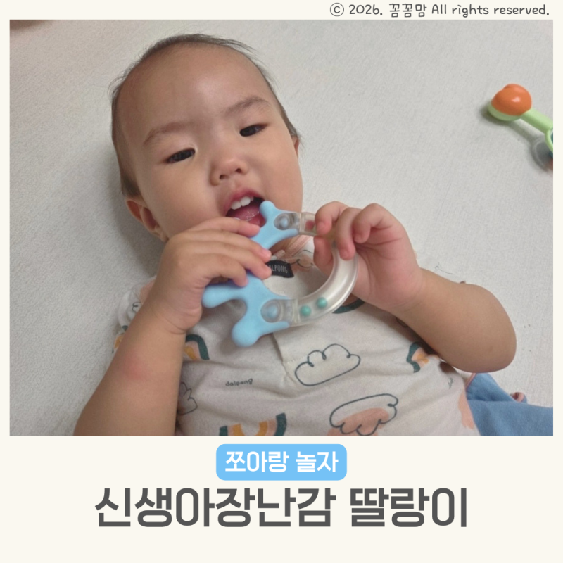 신생아장난감 아기 딸랑이 추천 세척 사용시기 언제까지
