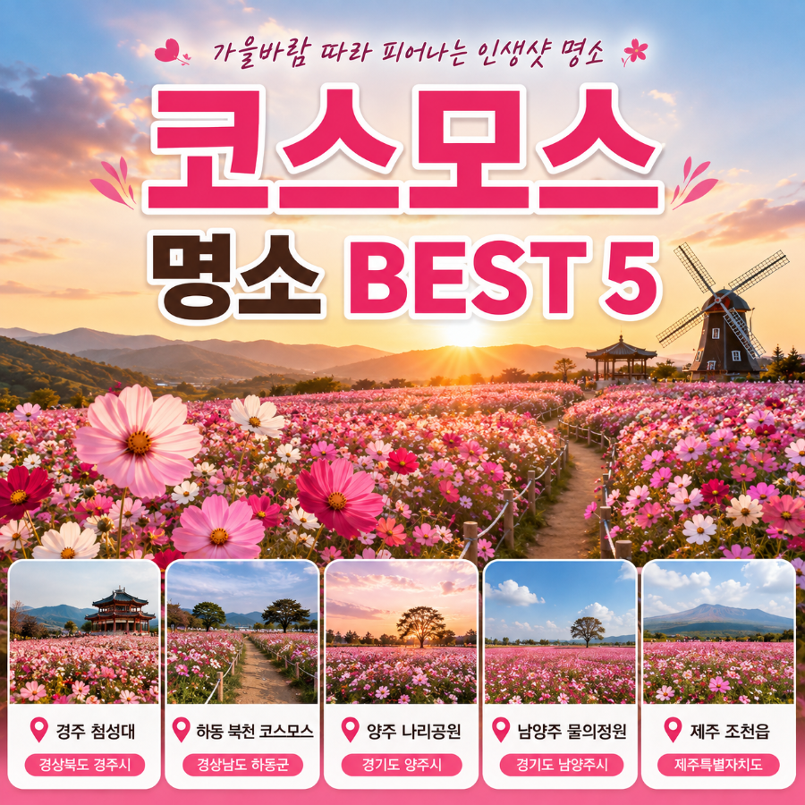 가을 사진 1