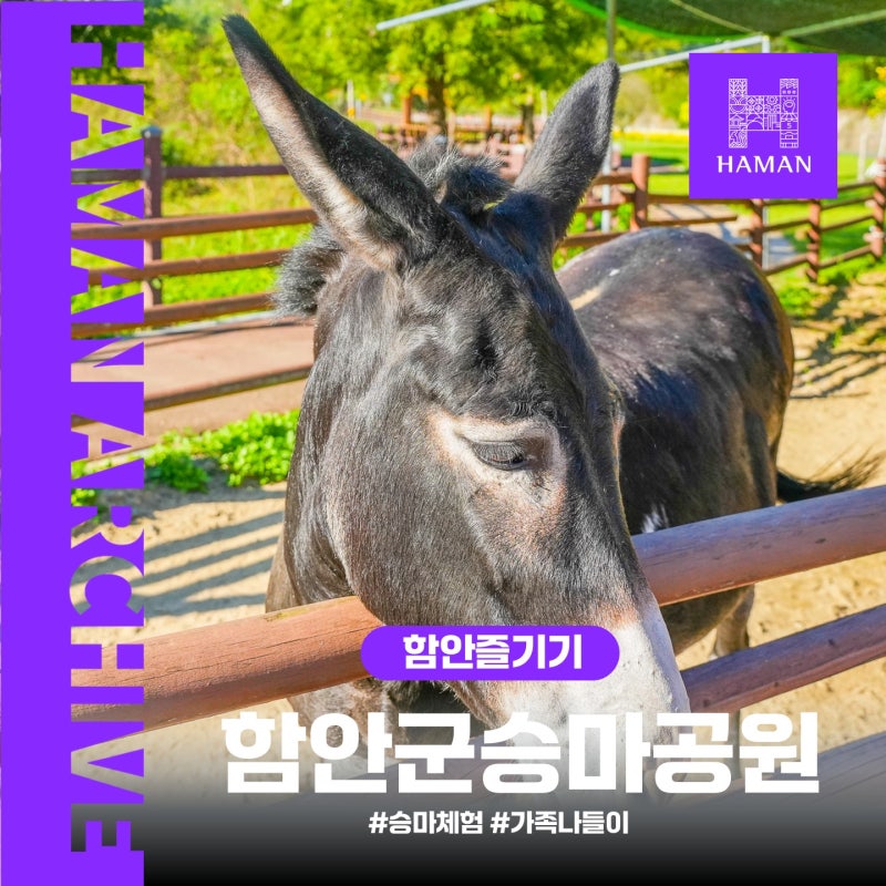 [함안여행] 아이와 가볼만한곳, 승마와 자연을 함께 즐기는 승마공원