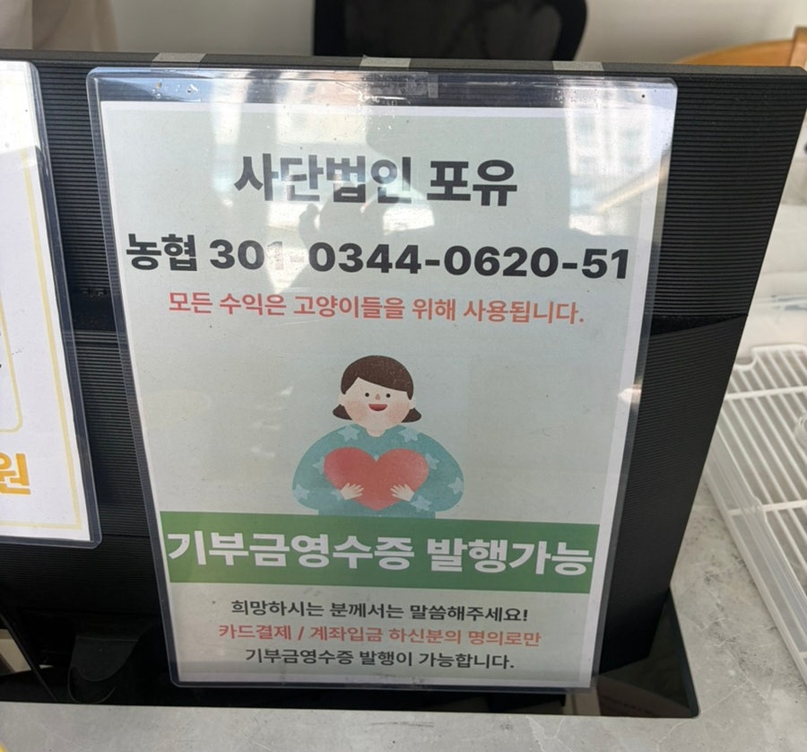 고양이네 사진 4
