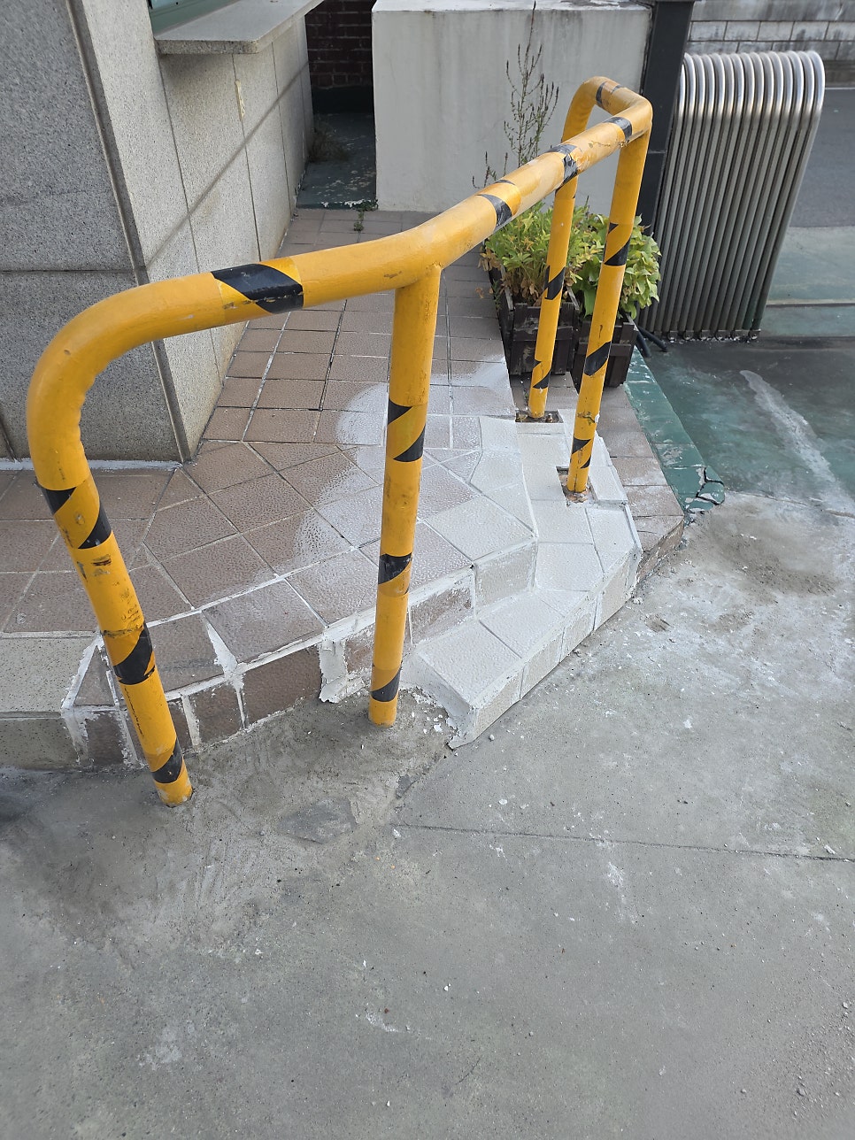 송도 사진 4
